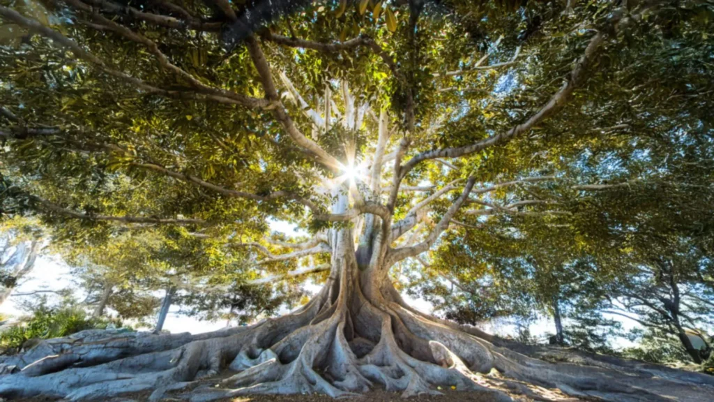 When Her Child Had No Words… But Spoke Volumes